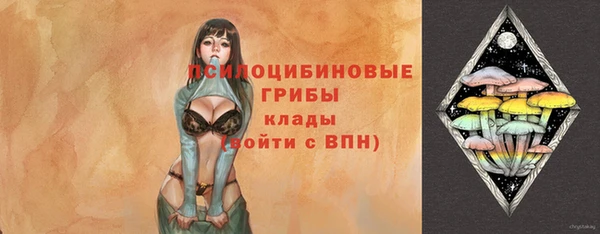 МДПВ Новодвинск