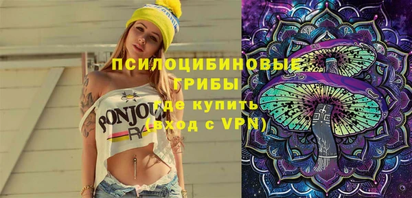 дживик Новозыбков