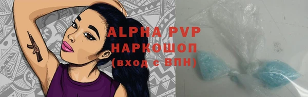 дживик Новозыбков