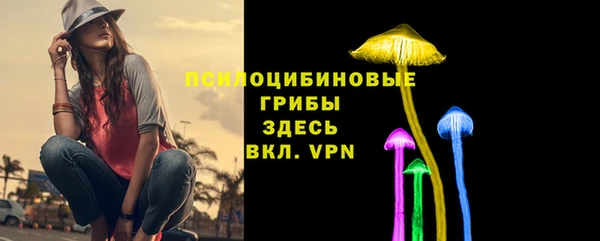 дживик Новозыбков