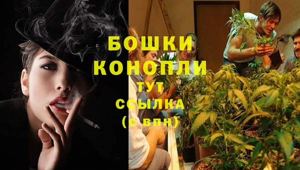 каннабис Новокубанск