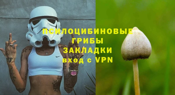 стафф Богданович