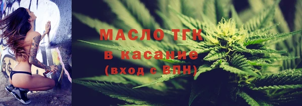дживик Новозыбков